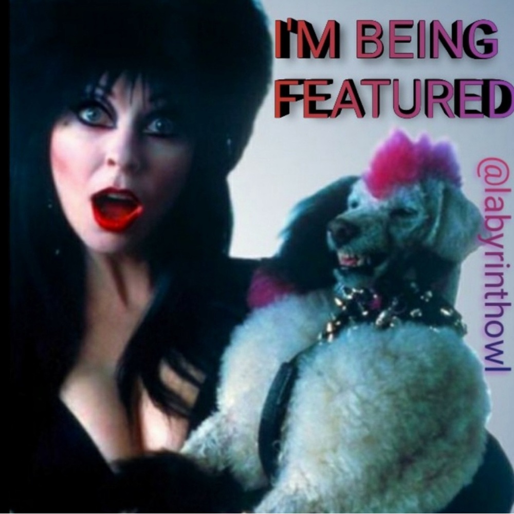 𝟏𝟏/𝟐𝟒 I'm Featured Today! 🕷️🕸️🕷️🕸️🕷️